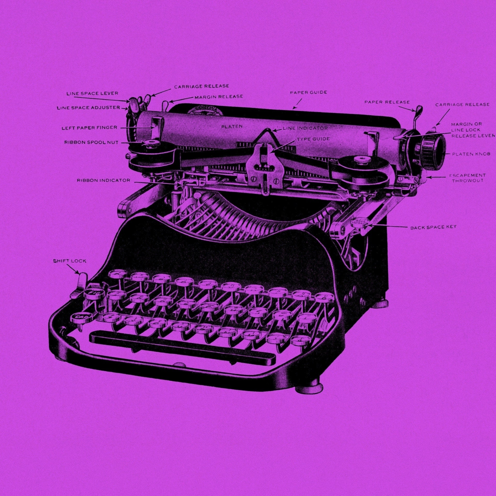 Editing Terza Stagione I Corsi Di Lucy