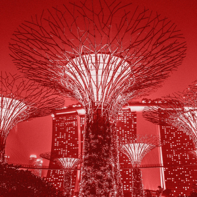 Viaggio In Asia - I corsi di Lucy