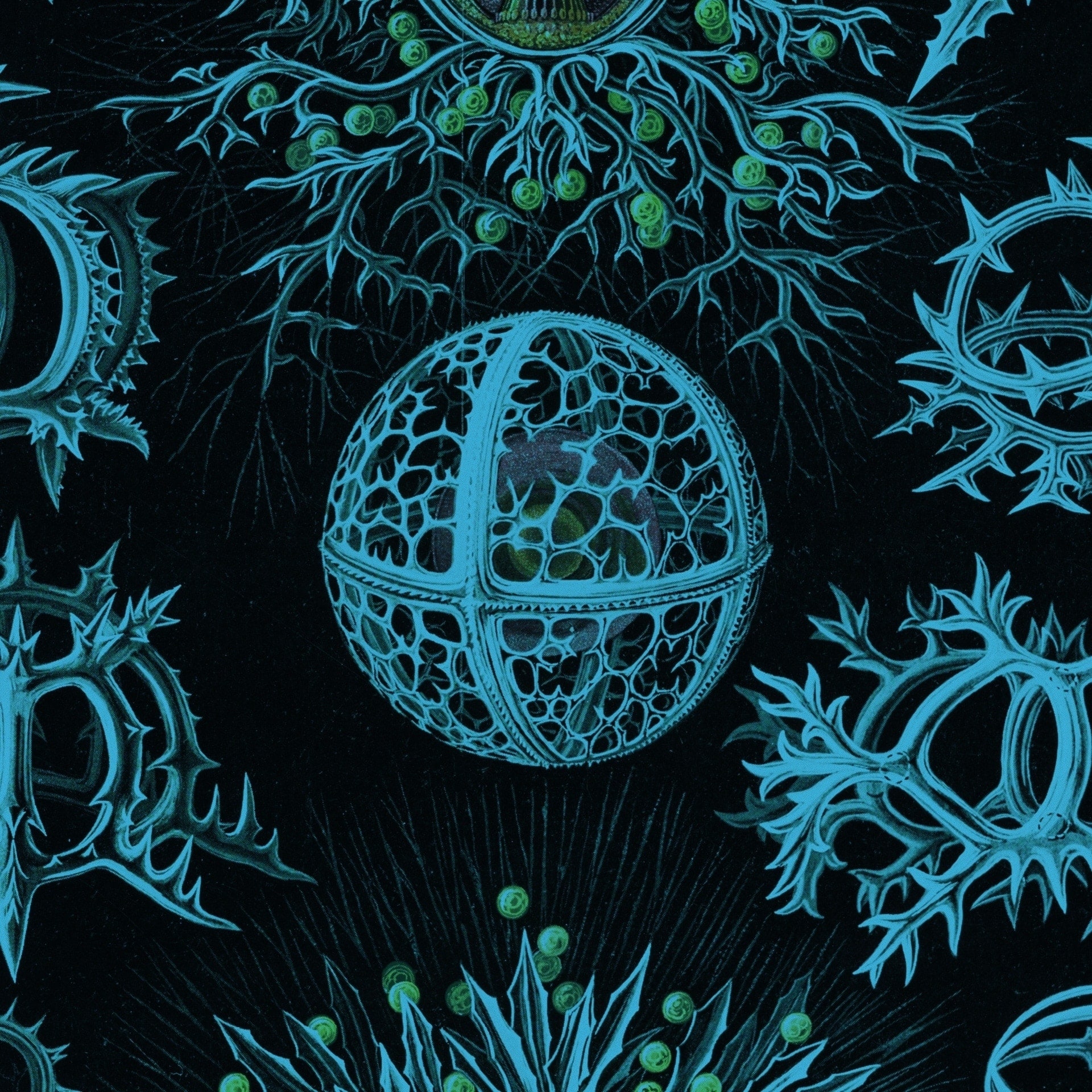 La Natura ha le zanne - I corsi di Lucy