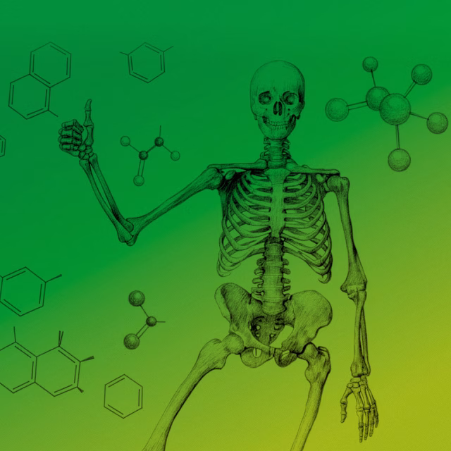 Che Cosa È La Vita - i corsi di lucy